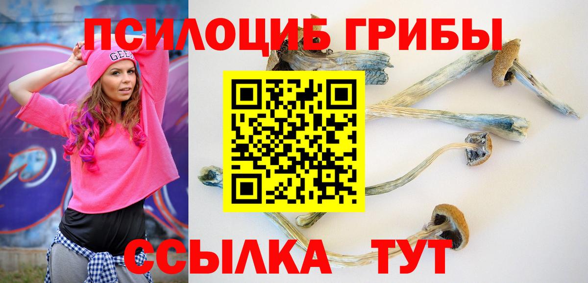 Галлюциногенные грибы Magic Shrooms  Вход с VPN  Туймазы 